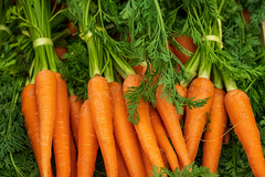 Carottes
