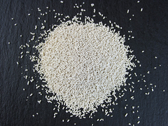 Levures de bière