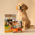 Pack Découverte Sanalio Puppy - Sanalio.bio