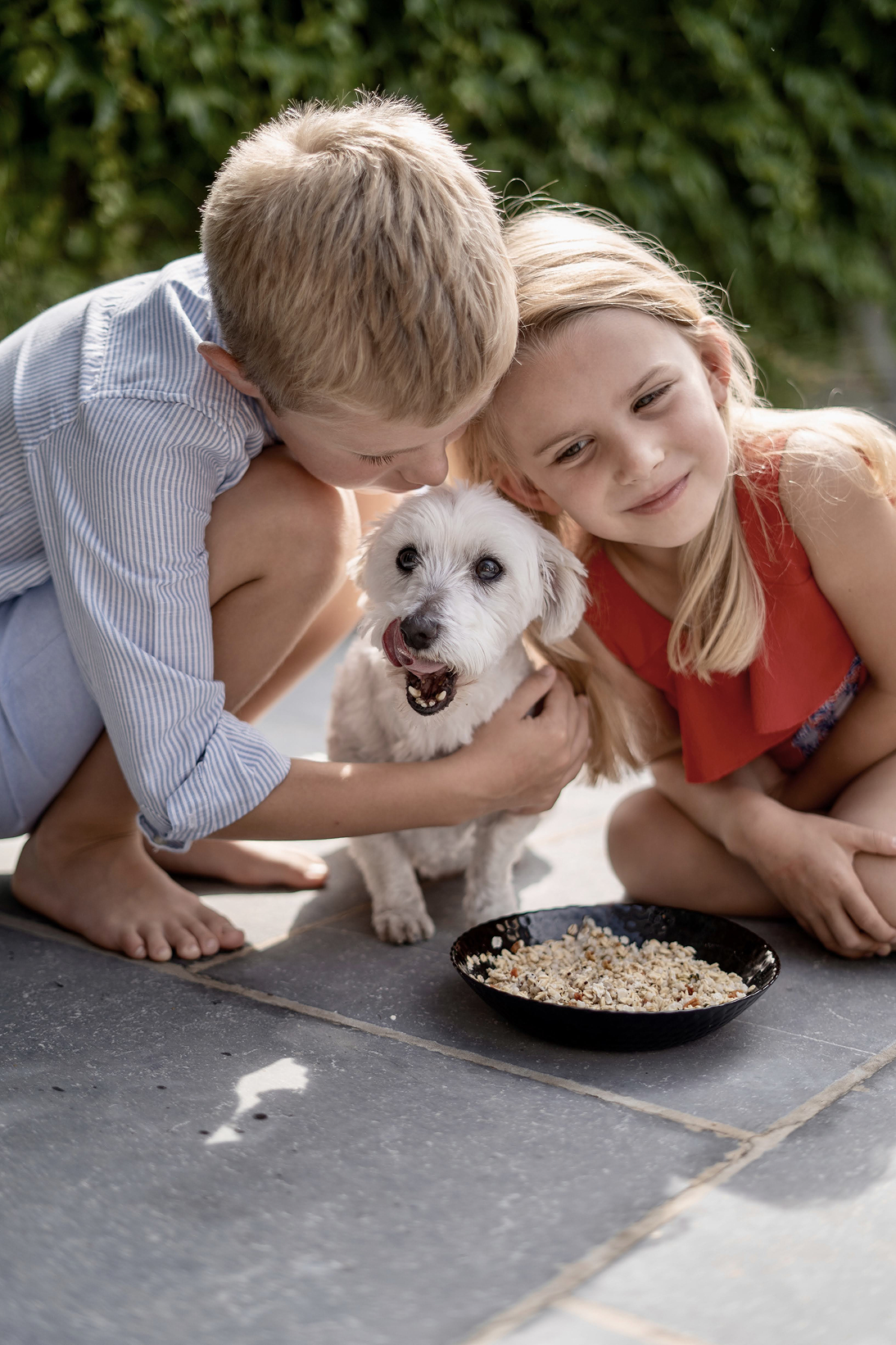 Produit Sanalio Deux enfants avec un chien devant une gamelle Sanalio