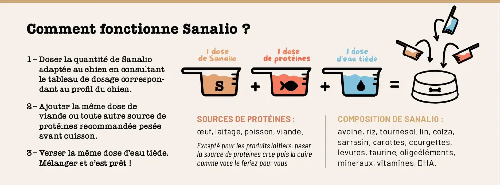 SANALIO_ModeD_emploi.webp