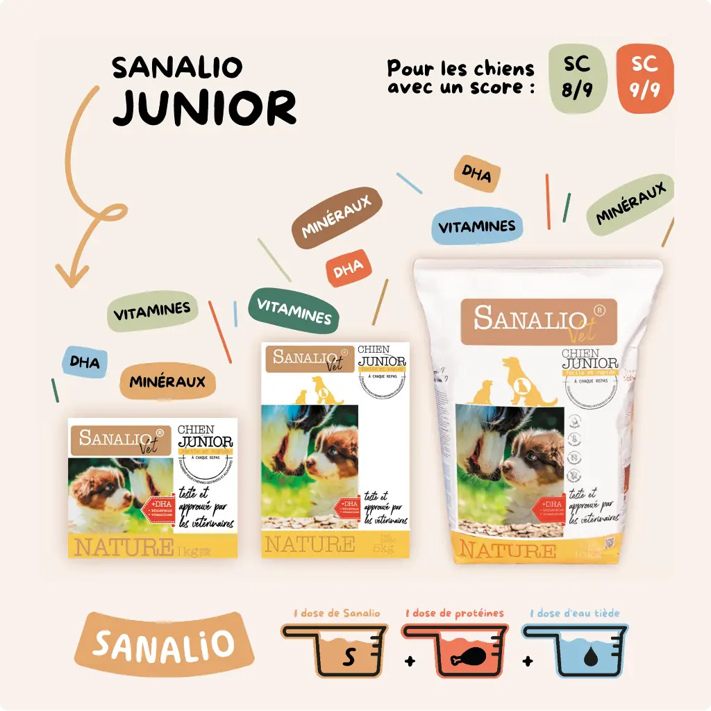 SANALIO_postsRS_gabarit48.webp
