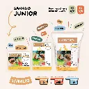 SANALIO_postsRS_gabarit48.webp